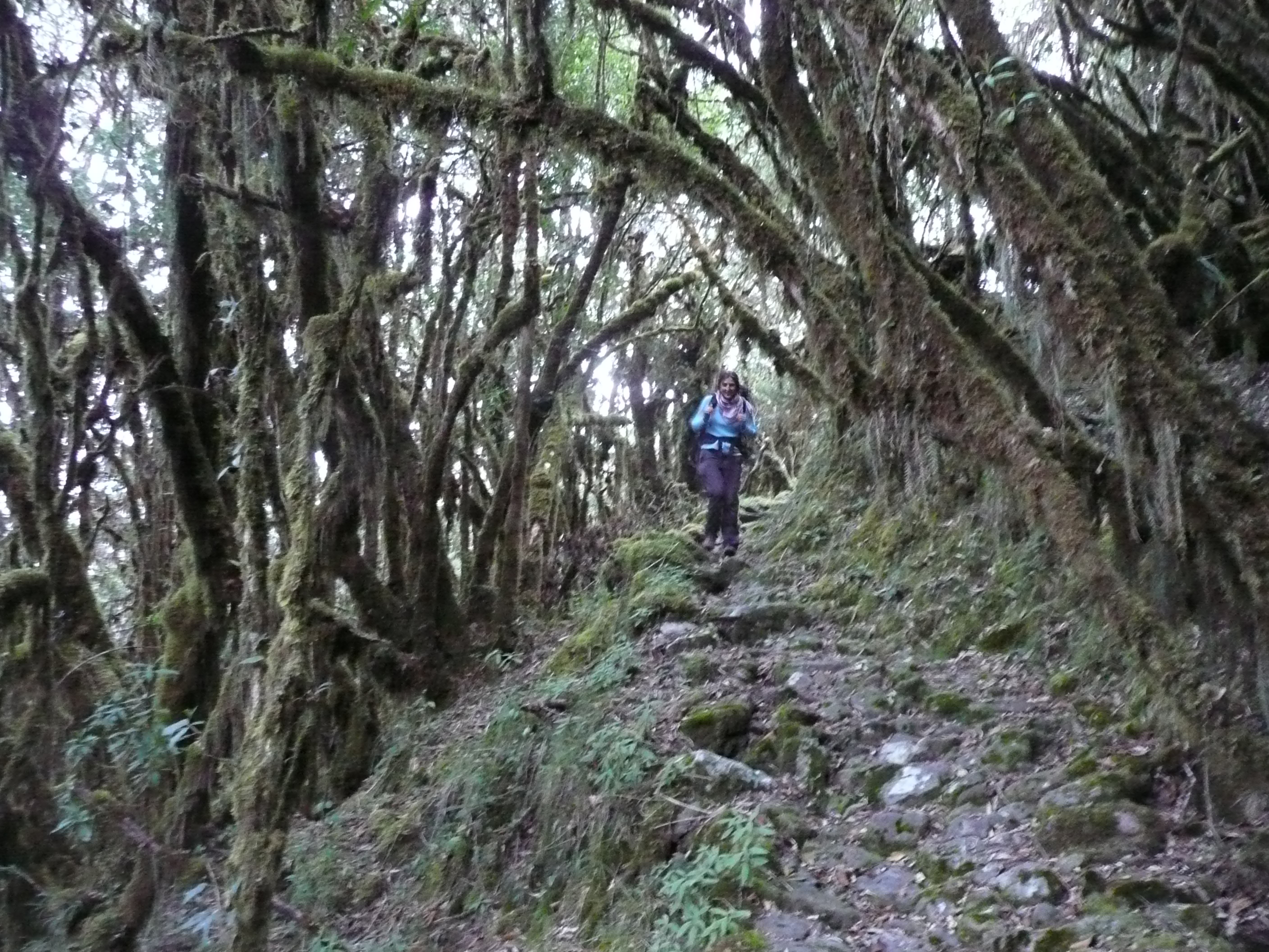 Trekking Yungas 1