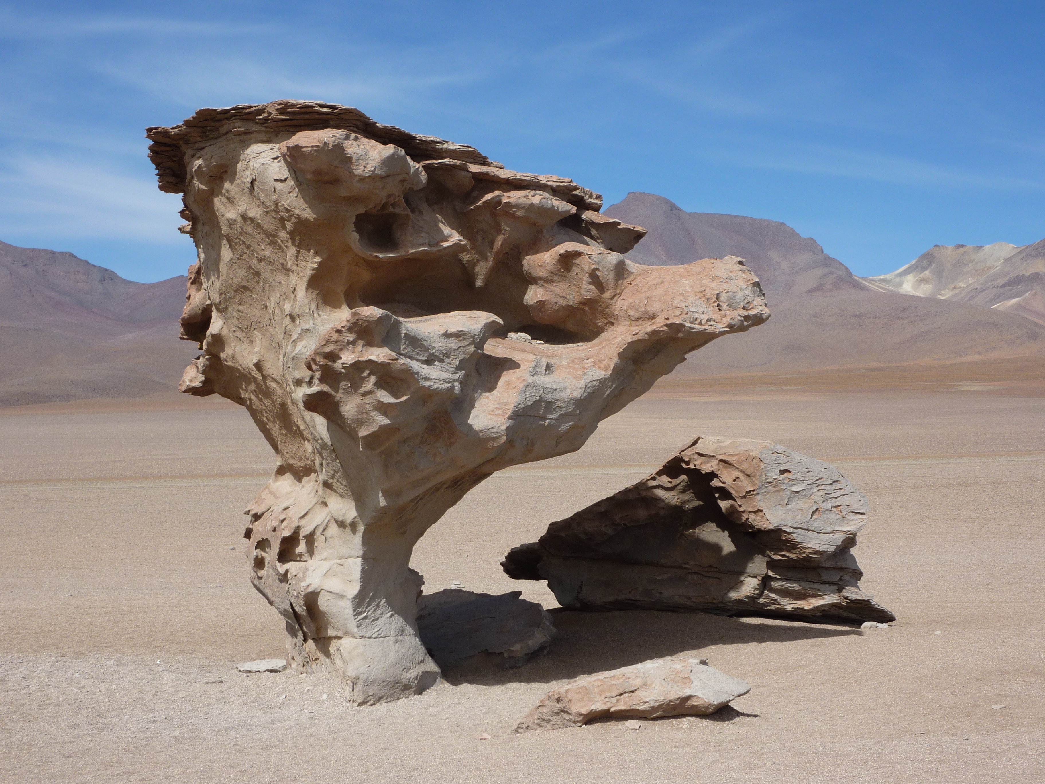 Parque Nacional Sajama